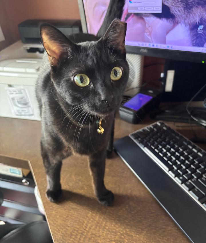 Portrait of Cookie