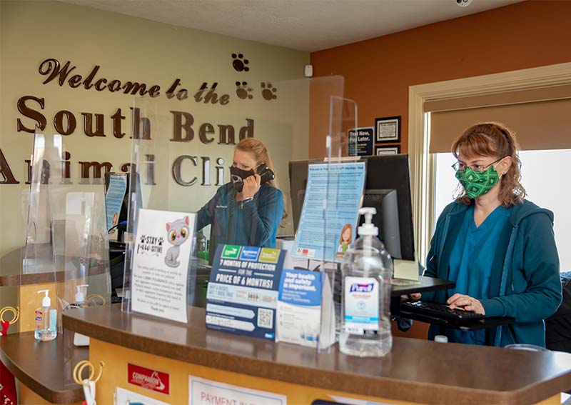 South Bend Animal Clinic, South Bend