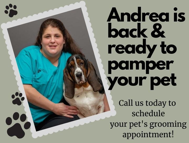 Our Groomer, Andrea is ready to pamper your pet!